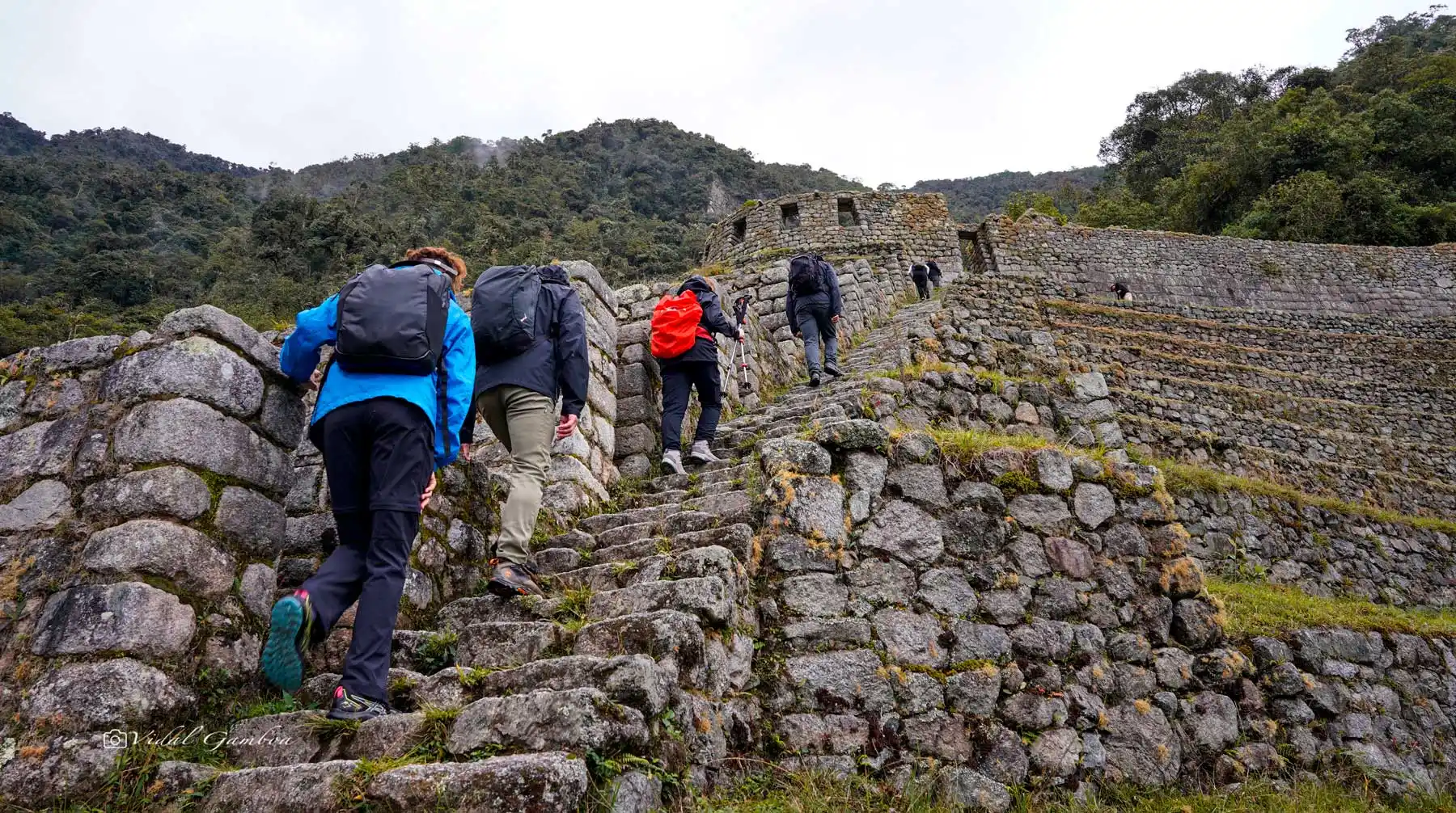 Hiking in Wiñaywayna along the Inca Trail