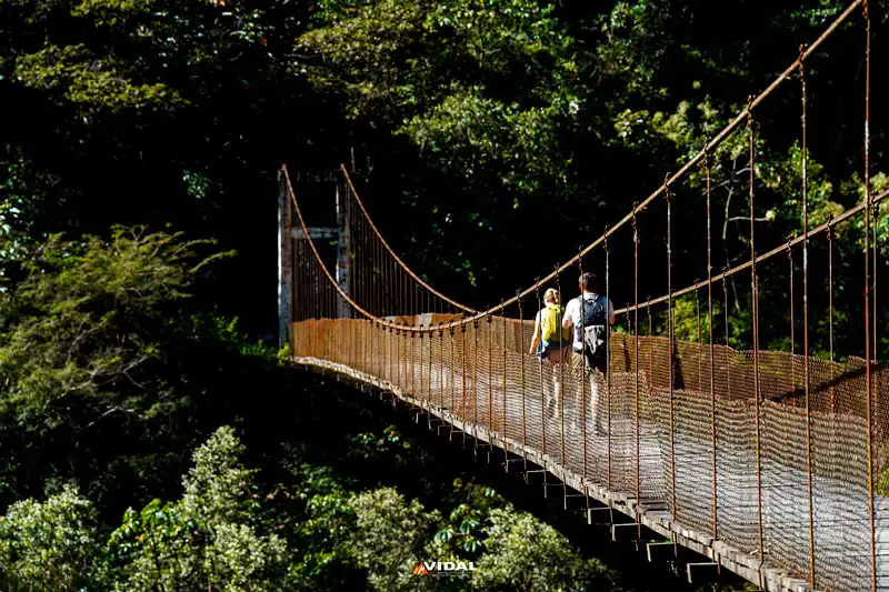 Travelers crossing the bridge in the Inca Jungle